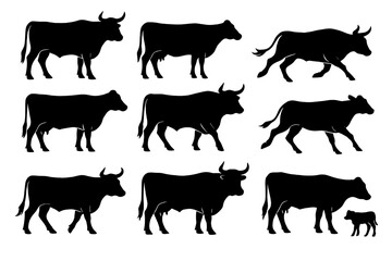 Collection of silhouette icons depicting various cow poses and movements for design use or educational purposes