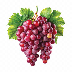 abstract 3d fresh  bunch grapes in different style isolated on white background