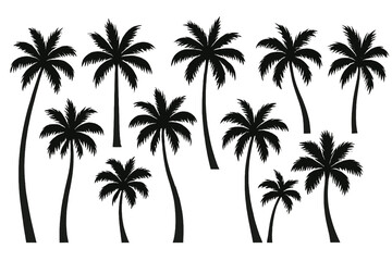 Black silhouette palm tree icon set for tropical themes and designs