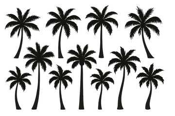 Collection of palm tree icons in various heights ideal for tropical themed designs and projects