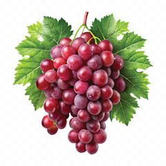 Obraz premium abstract 3d fresh bunch grapes in different style isolated on white background