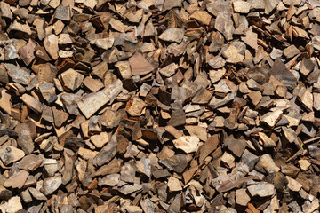 Close-up of pine chips scattered across the ground, showcasing  variety of natural brown hues and textures, creating rustic and earthy scene. Nature concept for design