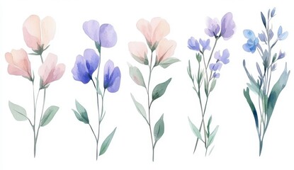 Pastel Watercolor Flowers Delicate Peach, Lavender, and Blue Blooms on White