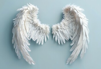 a pair of delicate white feathered wings are displayed against a soft blue background, creating a serene and ethereal composition.