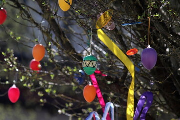 Easter decorations: brightly painted eggs hang from a small bush in the sunlight.