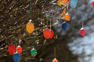 Easter decorations: brightly painted eggs hang from a small bush in the sunlight. Selected Focus.