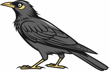 crow on a white background