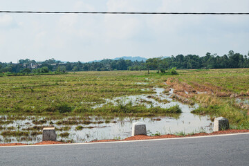 Majestic Landscapes of Sri Lanka. Breathtaking Beauty Capturing the Serene Essence of Nature in Stunning Landscapes. A Journey Through Picturesque Nature Landscapes. The beauty of Nature’s Landscape