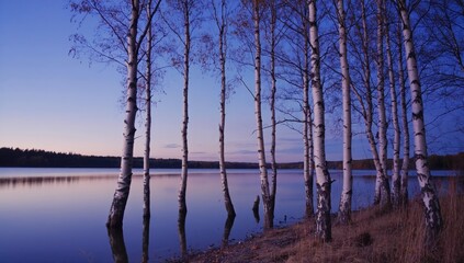 Tranquil twilight reflection on serene lake with birch trees in high contrast