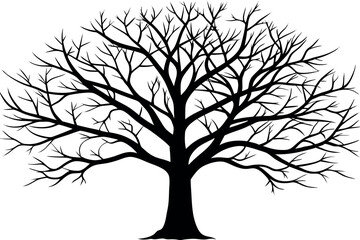 Obraz premium Detailed silhouette of a leafless tree with intricate branches against a plain background