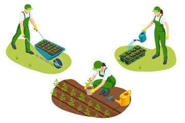 Agricultural cultivation. Gardeners carry and plant seedlings in organized garden beds, water them with a watering can, and use garden tools for planting tasks.