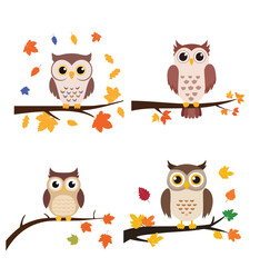 Cheerful Owl with Autumn Leaves Vector Bundle Set