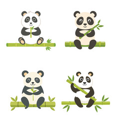 Lovable Panda Holding Bamboo Shoot Vector Bundle Set