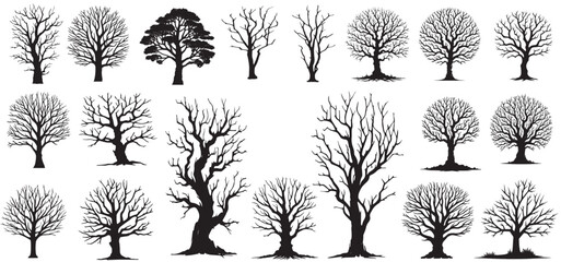 silhouette bare trees set on white background. spooky, scary, horror, bare tree vector