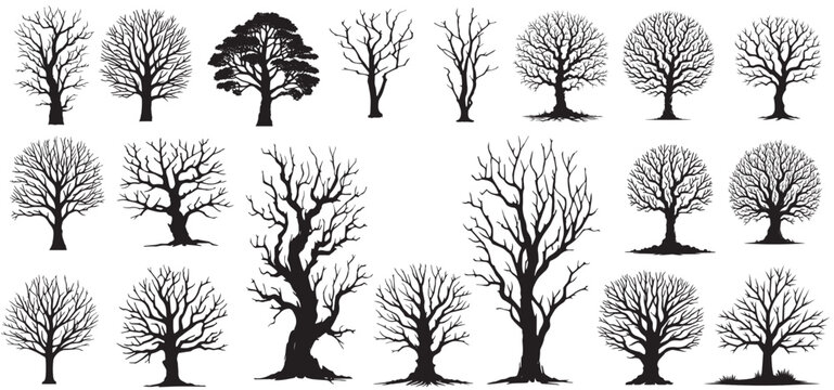 silhouette bare trees set on white background. spooky, scary, horror, bare tree vector