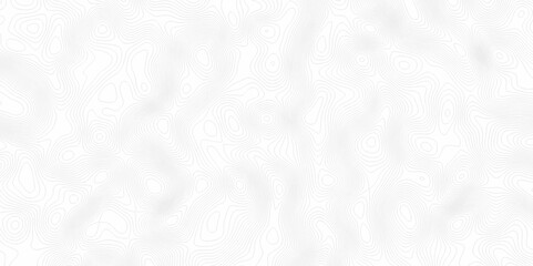 White topography topology vector white background fresh contour map texture. white seamless pattern Abstract background with a wave Topography and geography map grid abstract backdrop.	