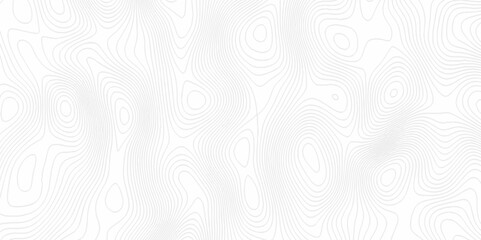 White topography topology vector white background fresh contour map texture. white seamless pattern Abstract background with a wave Topography and geography map grid abstract backdrop.	