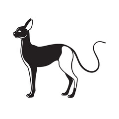 Peterbald Cat Breed Silhouette Vector Design