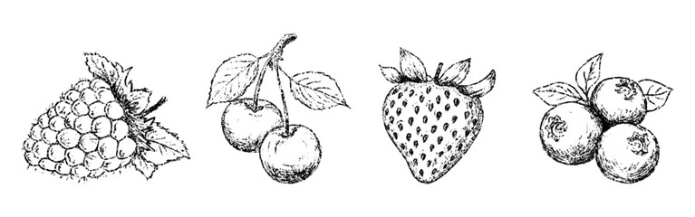 Sketch crayon summer berry set. Hand drawn scribble doodle dessert wild berries cherry, strawberry, blueberry, raspberry. Pencil texture vector illustration.