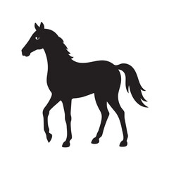 Appaloosa Horse Breed Black Silhouette Design