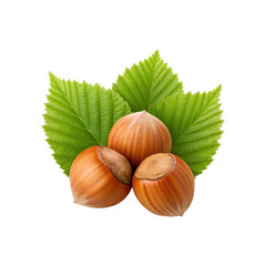 Closeup shot of three hazelnuts with leaves on a grey background transparent background
