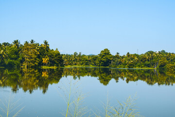 Blue Lake Surrounded by Lush Green Trees and Vines. Tranquil Forest Lake with Crystal Blue Water and Natural Foliage. Beautiful Blue Water Lake in the Heart of a Green Forest. Asian Lake Landscape