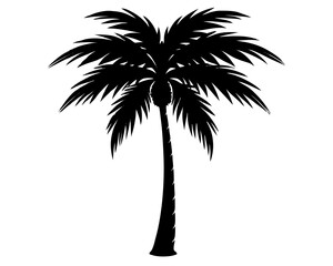 Obraz premium palm tree silhouette vector