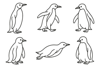 Naklejka premium Collection of cute and playful penguin icons in various poses suitable for illustrations or graphic designs