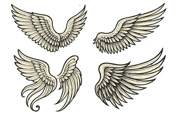 Icon set featuring various wing designs in detailed illustrations, showcasing different styles and shapes suitable for creative projects