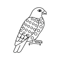 Obraz premium Linear drawing of hawk with patterned plumage standing gracefully in profile view