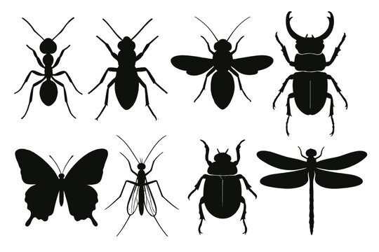 Collection of insect silhouettes showcasing various species for design and educational purposes