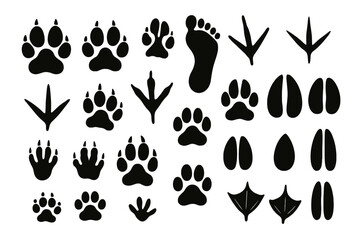 Fototapeta premium Collection of diverse animal tracks and footprints suitable for educational and creative projects in nature studies