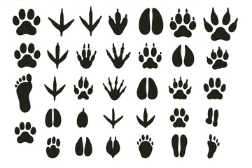 Collection of various animal tracks in black silhouette showcasing distinct paw, claw, and hoof prints