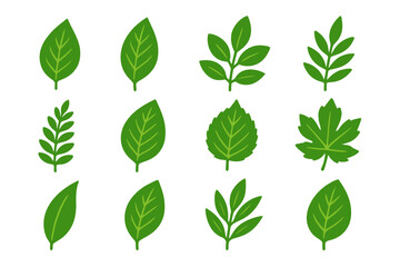 Collection of green leaves icon set in simple flat design suitable for nature-themed projects