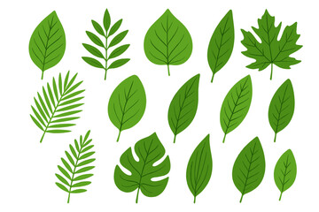 Obraz premium Diverse collection of green leaf icons showcasing various shapes and sizes suitable for nature-themed designs