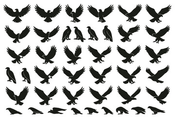 Variety of black silhouettes depicting different bird species in various poses and activities