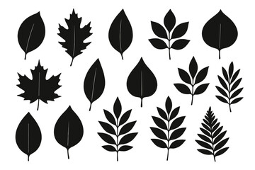 Collection of various leaf icons illustrating nature in a simplistic black design for decorative purposes