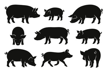 Icon set featuring various black silhouettes of pigs in different poses and sizes for design and illustration use