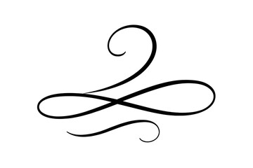 Elegant icon set featuring decorative swirls and lines for versatile design applications