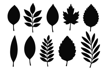 Obraz premium Collection of black silhouette icons depicting various leaf shapes suitable for design and decoration