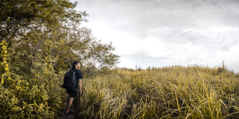 Solitary Hiker Exploring Wild Grassland at Sunset . Backpacker Walking Through Overgrown Path in Tropical Wilderness