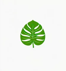 Single, vibrant green leaf, tropical design, isolated on white © faki