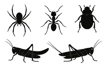 Icon set featuring various insects and arachnids designed for educational purposes and illustrative projects