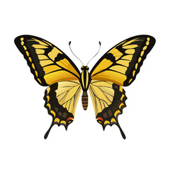 An butterfly vector, illustration and icon isolated on white background.