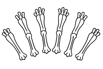 Carpals Joint Details Line art