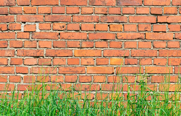 brick wall and green grass close up