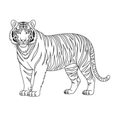 ‎A black and white tiger line art of a coloring page