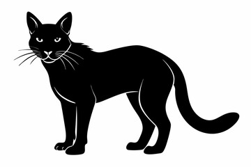 sand cat sihouette black vector