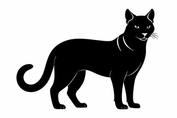 sand cat sihouette black vector
