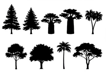 Fototapeta premium Silhouette trees various types